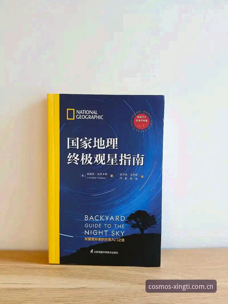 星空综合体育竞猜玩法完整指南：从新手到达人的进阶路径